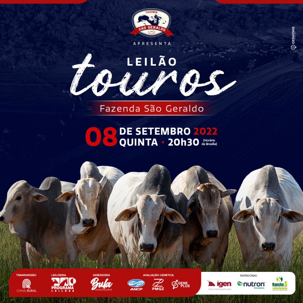 Começa a temporada de leilões no Canal Rural